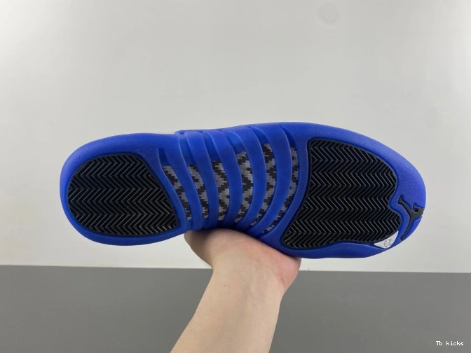 Rep TBK 12 Jordan Blueberry Air CT8013-140 0708